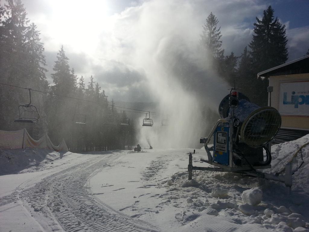 Mysi V Bote Lipno Lipno nad Vltavou Exterior foto